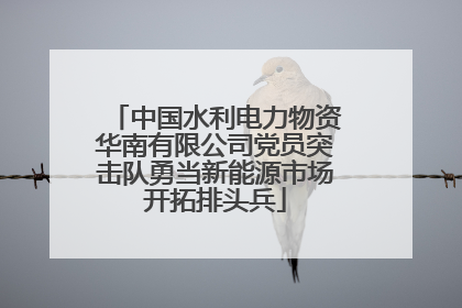 中国水利电力物资华南有限公司党员突击队勇当新能源市场开拓排头兵