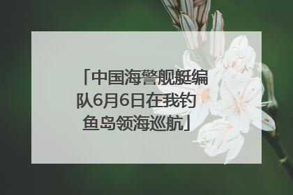 中国海警舰艇编队6月6日在我钓鱼岛领海巡航