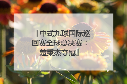 中式九球国际巡回赛全球总决赛：楚秉杰夺冠