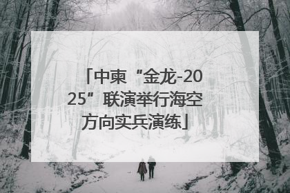中柬“金龙-2025”联演举行海空方向实兵演练