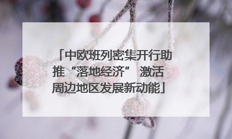 中欧班列密集开行助推“落地经济” 激活周边地区发展新动能