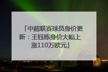 中超联赛球员身价更新：王钰栋身价大幅上涨110万欧元