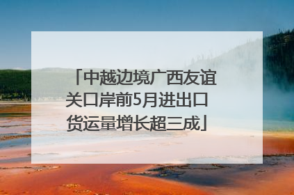 中越边境广西友谊关口岸前5月进出口货运量增长超三成