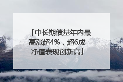 中长期债基年内最高涨超4%，超6成净值表现创新高