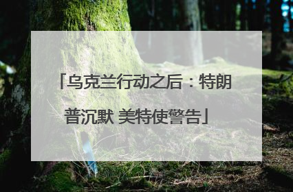 乌克兰行动之后：特朗普沉默 美特使警告