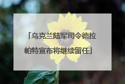 乌克兰陆军司令德拉帕特宣布将继续留任