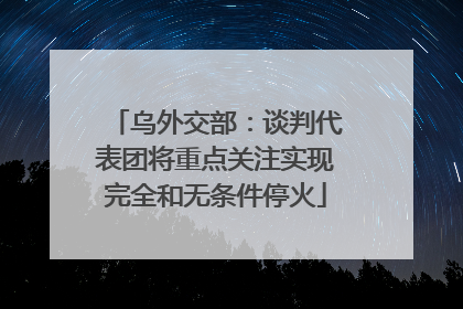 乌外交部：谈判代表团将重点关注实现完全和无条件停火