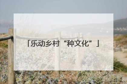 乐动乡村“种文化”