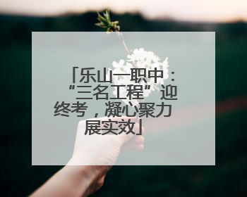乐山一职中：“三名工程”迎终考，凝心聚力展实效