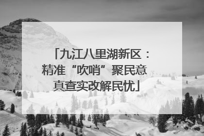 九江八里湖新区：精准“吹哨”聚民意 真查实改解民忧