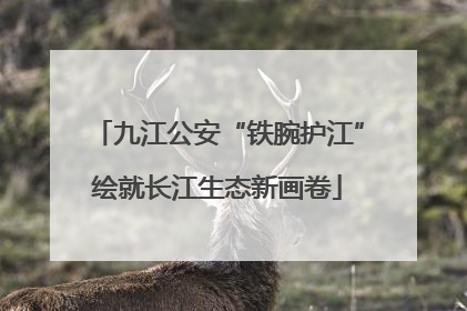 九江公安“铁腕护江”绘就长江生态新画卷