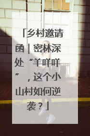 乡村邀请函｜密林深处“羊咩咩”，这个小山村如何逆袭？