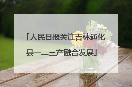 人民日报关注吉林通化县一二三产融合发展