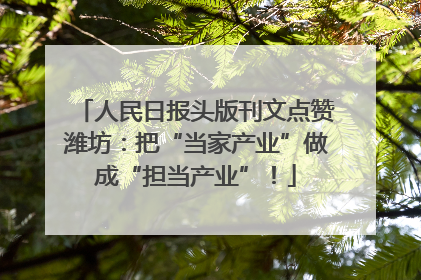 人民日报头版刊文点赞潍坊：把“当家产业”做成“担当产业”！