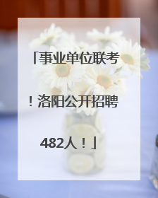 事业单位联考！洛阳公开招聘482人！