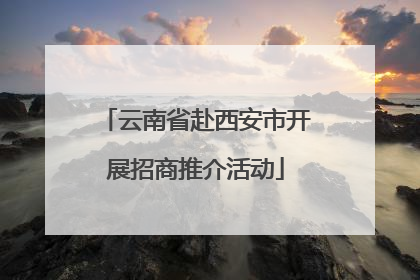 云南省赴西安市开展招商推介活动