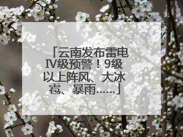 云南发布雷电Ⅳ级预警！9级以上阵风、大冰雹、暴雨……