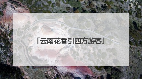 云南花香引四方游客
