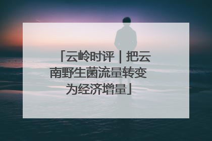 云岭时评｜把云南野生菌流量转变为经济增量