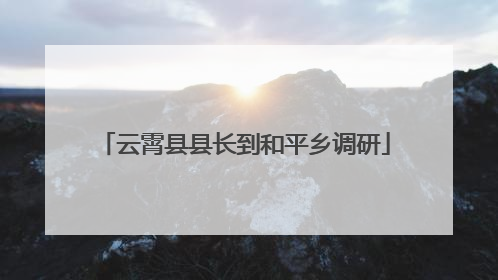 云霄县县长到和平乡调研