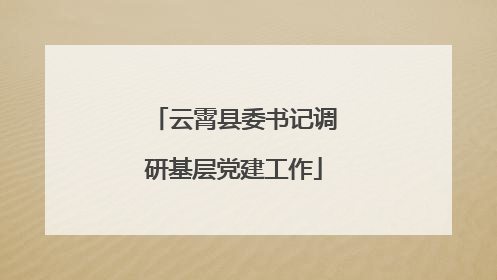 云霄县委书记调研基层党建工作