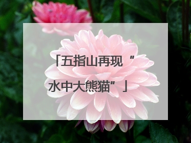五指山再现“水中大熊猫”