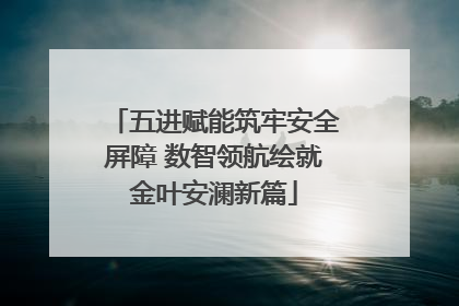 五进赋能筑牢安全屏障 数智领航绘就金叶安澜新篇