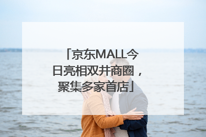 京东MALL今日亮相双井商圈，聚集多家首店