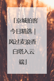 京城拍客今日精选｜风过麦浪香 白塔入云端