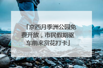 京西月季洲公园免费开放，市民假期驱车前来赏花打卡