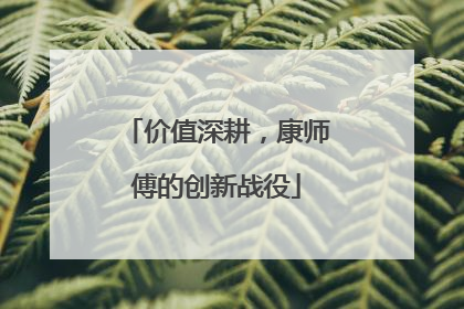 价值深耕，康师傅的创新战役