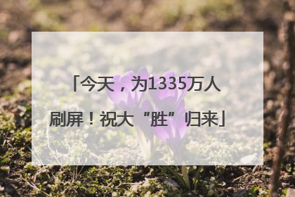 今天，为1335万人刷屏！祝大“胜”归来