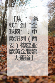 从“一条线”到“全球网”：中欧班列（西安）构建亚欧黄金物流大通道