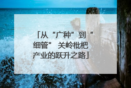 从“广种”到“细管” 关岭枇杷产业的跃升之路