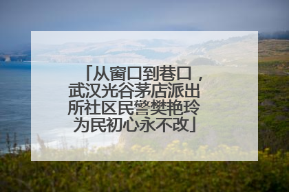 从窗口到巷口，武汉光谷茅店派出所社区民警樊艳玲为民初心永不改