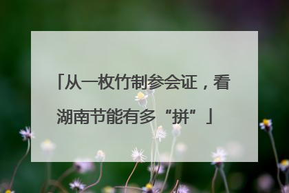从一枚竹制参会证，看湖南节能有多“拼”