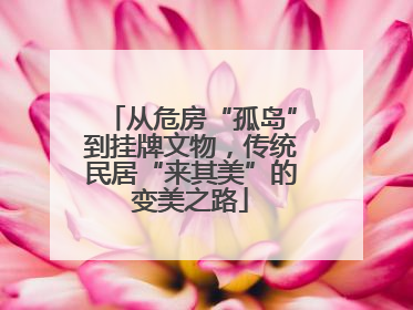 从危房“孤岛”到挂牌文物，传统民居“来其美”的变美之路