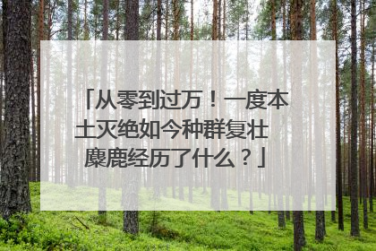 从零到过万！一度本土灭绝如今种群复壮 麋鹿经历了什么？