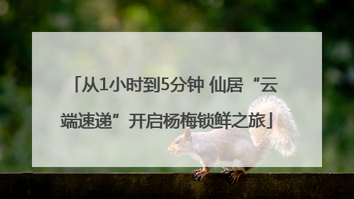 从1小时到5分钟 仙居“云端速递”开启杨梅锁鲜之旅