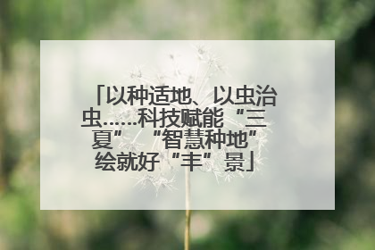 以种适地、以虫治虫……科技赋能“三夏” “智慧种地”绘就好“丰”景