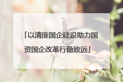 以清廉国企建设助力国资国企改革行稳致远