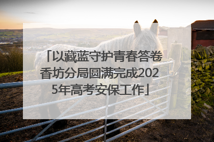以藏蓝守护青春答卷 香坊分局圆满完成2025年高考安保工作