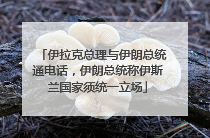 伊拉克总理与伊朗总统通电话，伊朗总统称伊斯兰国家须统一立场