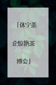 休宁茶企惊艳茶博会