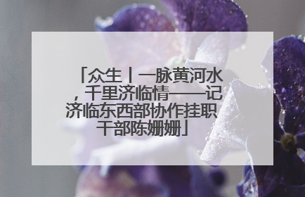 众生丨一脉黄河水，千里济临情——记济临东西部协作挂职干部陈姗姗