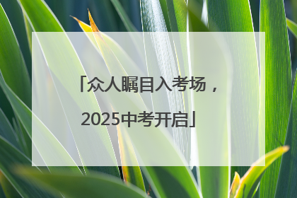 众人瞩目入考场，2025中考开启