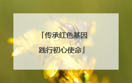 传承红色基因 践行初心使命