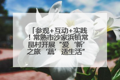 参观+互动+实践！常熟市沙家浜镇常昆村开展“爱‘新’之旅‘蔬’适生活”参观学习活动