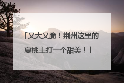 又大又脆！荆州这里的夏桃主打一个甜美！