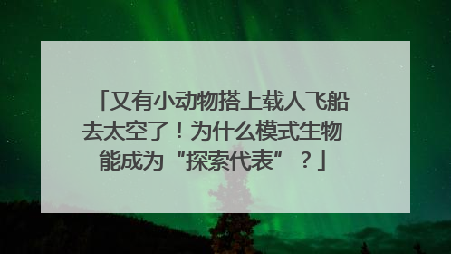 又有小动物搭上载人飞船去太空了！为什么模式生物能成为“探索代表”？